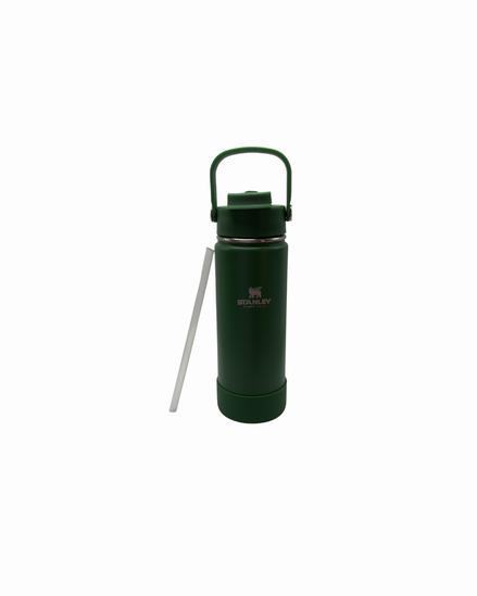 Garrafa Térmica com Canudo AquaMove Pro 600ml