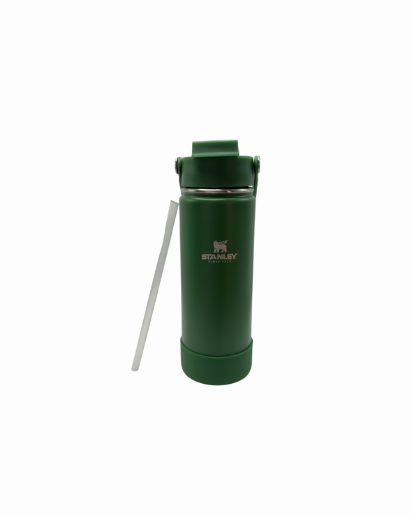 Garrafa Térmica com Canudo AquaMove Pro 600ml